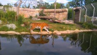 /album/fotogalerie-zoo-ohrada-hluboka-nad-vltavou/zoo-ohrada-hluboka-nad-vltavou1312-jpg/